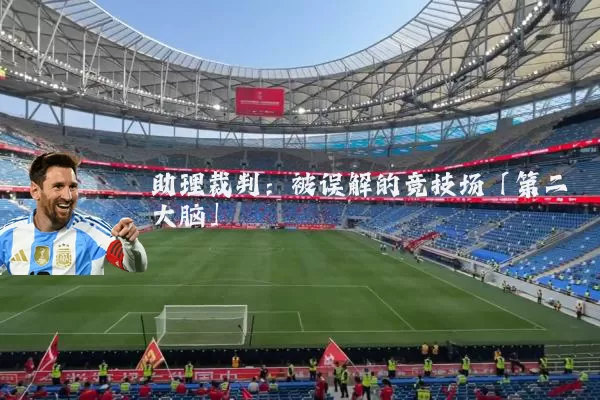 助理裁判：被误解的竞技场「第二大脑」